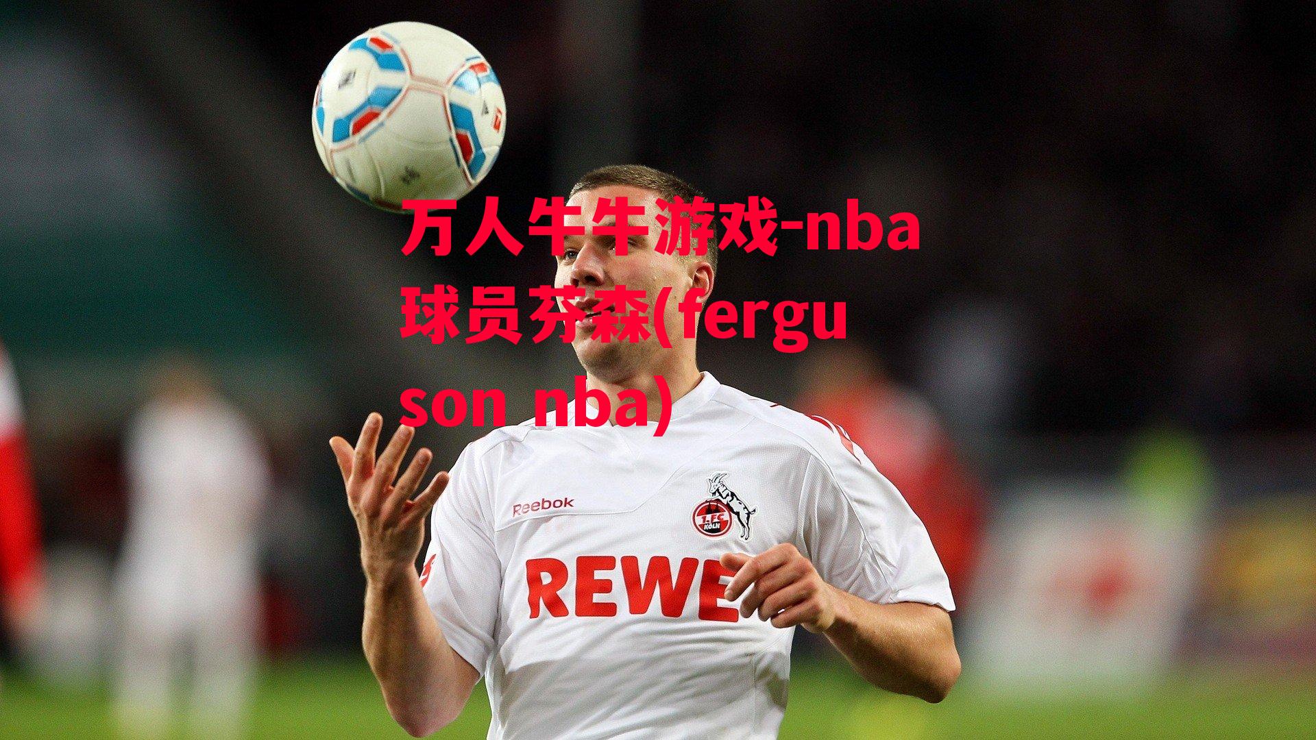 nba球员芬森(ferguson nba)