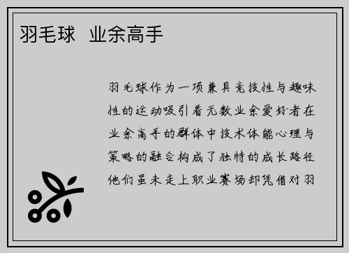 羽毛球  业余高手